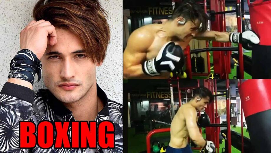 Bigg Boss fame Asim Riaz's boxing video goes viral
