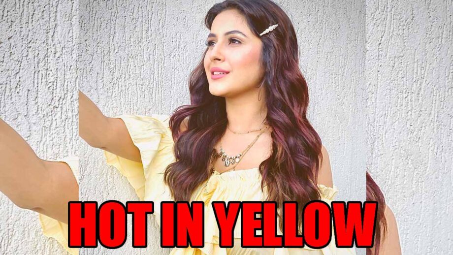 Bigg Boss fame Shehnaaz Gill turns up the heat in sunshine yellow look, fans go crazy