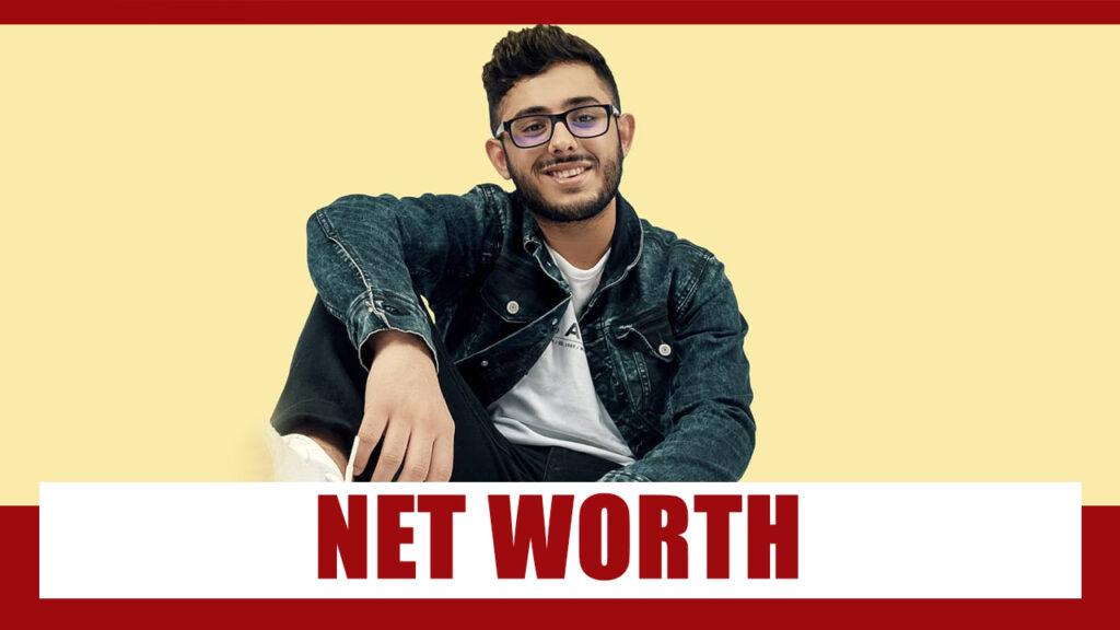 CarryMinati Net Worth Will Leave You Speechless