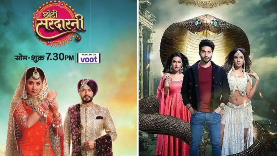 Choti Sarrdaarni Vs Naagin: Which Is Your Favourite Colors TV Show? 1