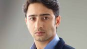 During Kuch Rang Pyaar Ke Aise Bhi I realized relationships are complicated: Shaheer Sheikh
