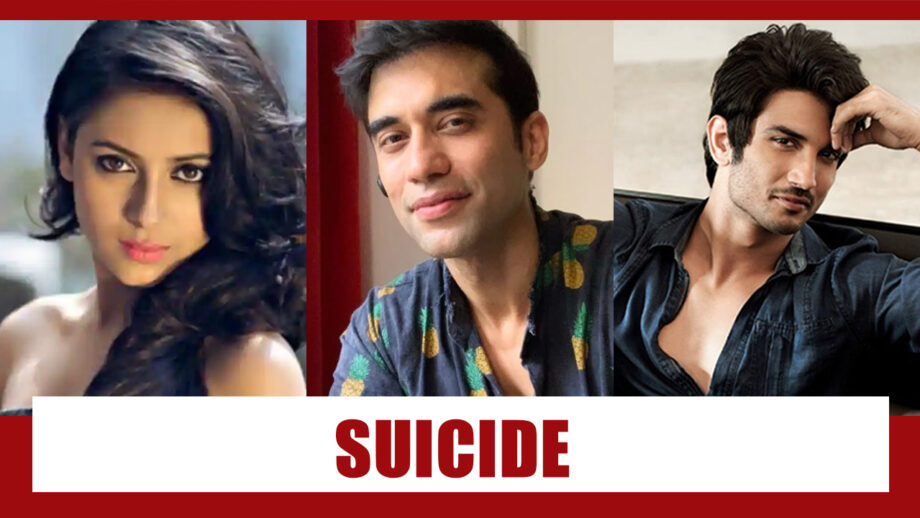 From Pratyusha Banerjee, Kushal Punjabi to Sushant Singh Rajput: Actors Who Committed Suicide