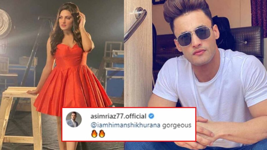 Himanshi Khurana shares stunning picture, rumoured BF Asim Riaz comments 'gorgeous' 1