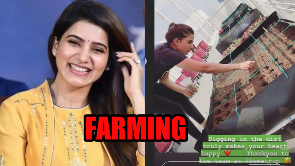 IN PHOTOS: South Superstar Samantha Akkineni is inspiring us to go for 'Greenhouse farming' 3