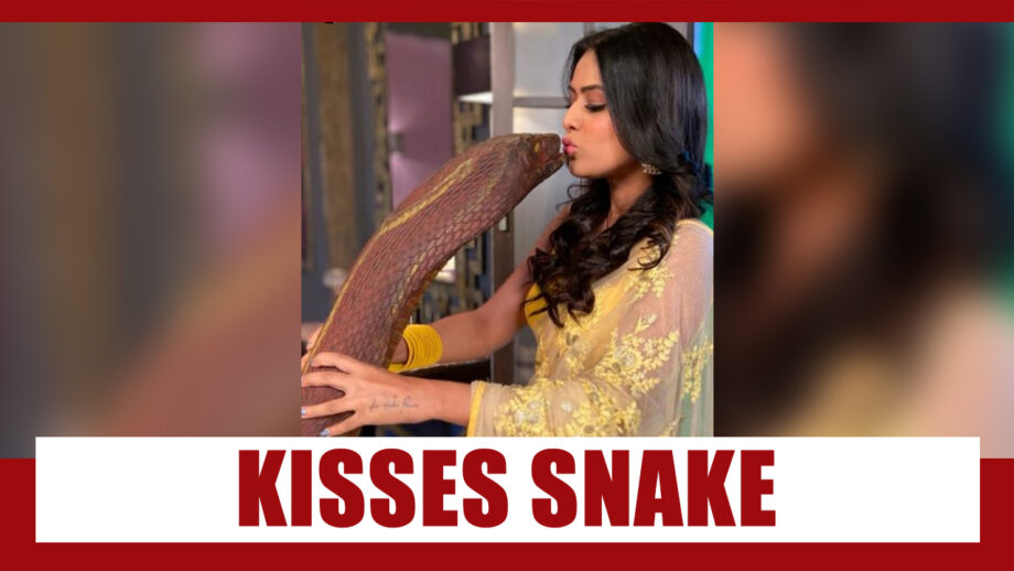 Naagin Nia Sharma kisses a snake 1