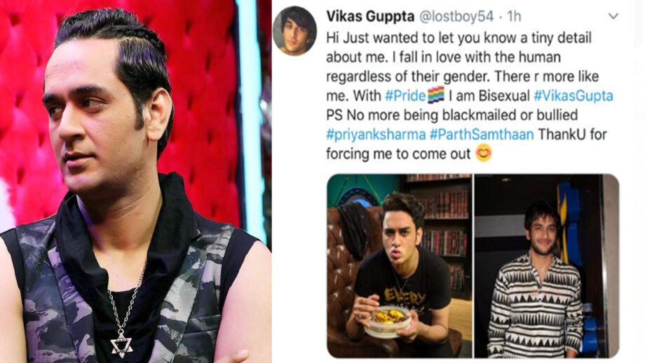 No more being bullied by Parth Samthaan or Priyaank Sharma: Vikas Gupta confesses he is bisexual