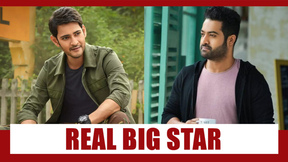 NTR Jr Vs Mahesh Babu: Who Is The Real Big Star?
