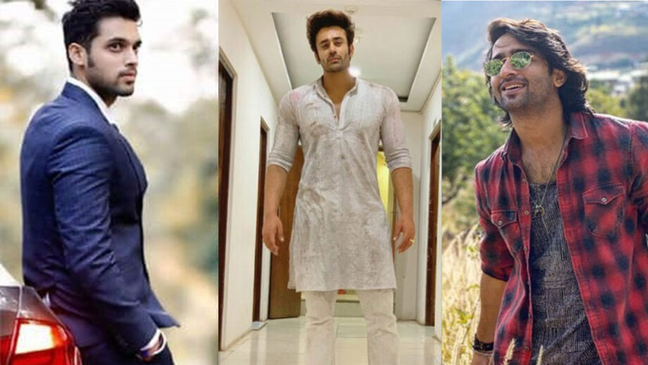 Parth Samthaan VS Pearl V Puri VS Shaheer Sheikh: Who Gives You Major Fashion Inspiration? 3