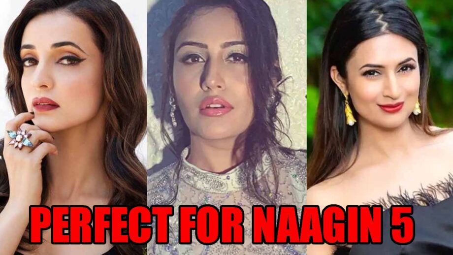 Sanaya Irani VS Surbhi Chandna VS Divyanka Tripathi: Who do you want to see in Naagin 5?