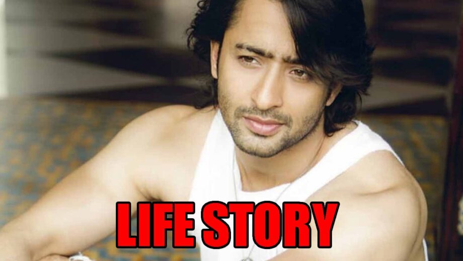 Shaheer Sheikh’s life story from Kashmir to Indonesia to India