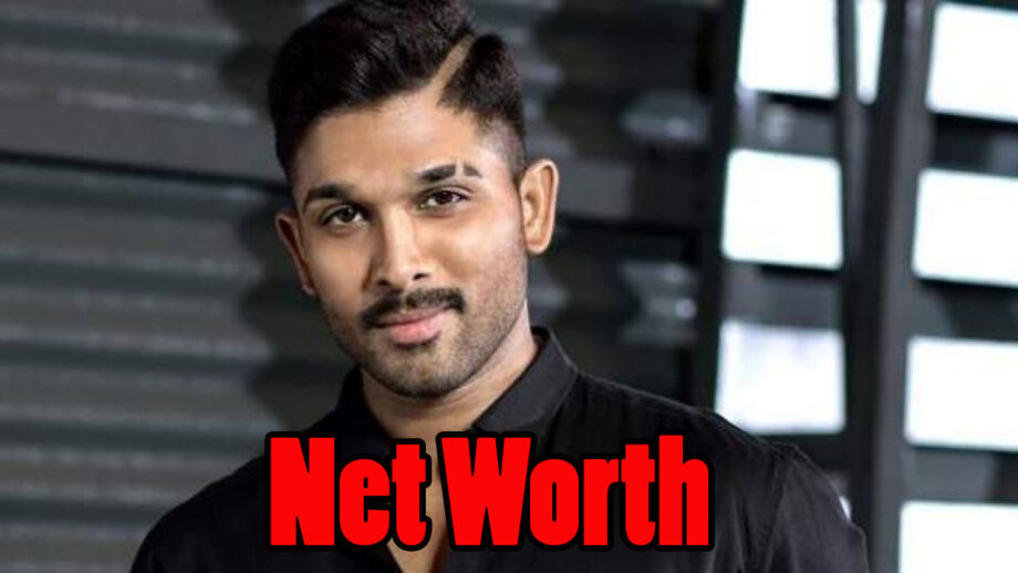 South Star Allu Arjun's Net Worth Will Shock You 3