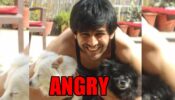What is making Kartik Aaryan so angry?