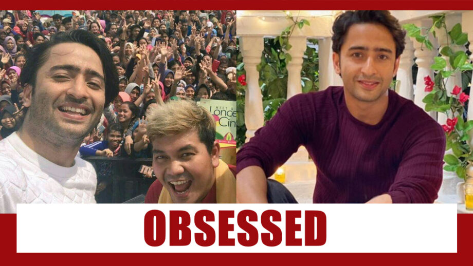 Why Are Indonesians So Obsessed With Shaheer Sheikh?