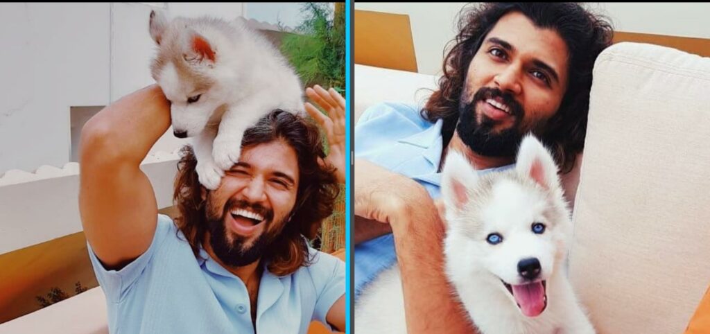 Adorable: South superstar Vijay Deverakonda gets a new puppy, names him 'Storm Deverakonda'