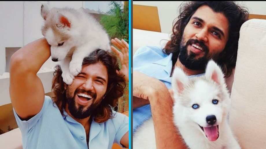 Adorable: South superstar Vijay Deverakonda gets a new puppy, names him 'Storm Deverakonda'