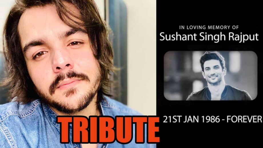 Ashish Chanchlani's emotional tribute to Sushant Singh Rajput, watch video