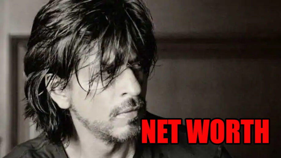 Badshah Shah Rukh Khan's Net Worth Will Stagger You