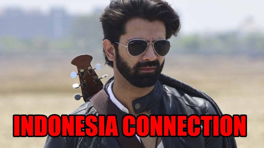 Barun Sobti’s Indonesia connection