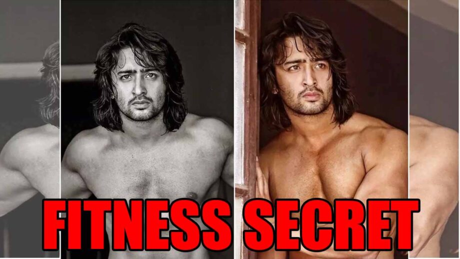 Be fit like Shaheer Sheikh: Check out secret