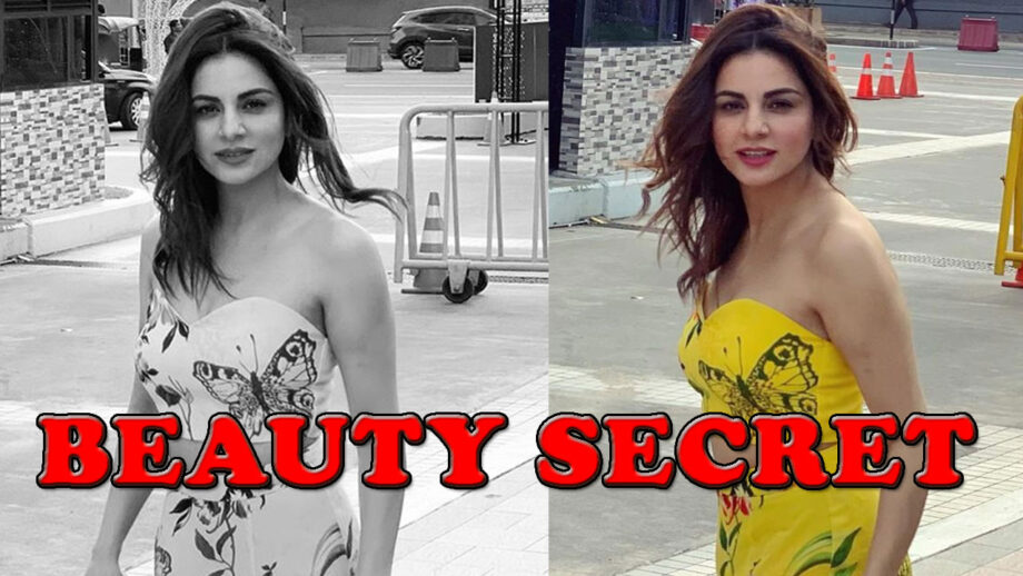 Beauty Secret Of Kundali Bhagya Actress Shraddha Arya REVEALED
