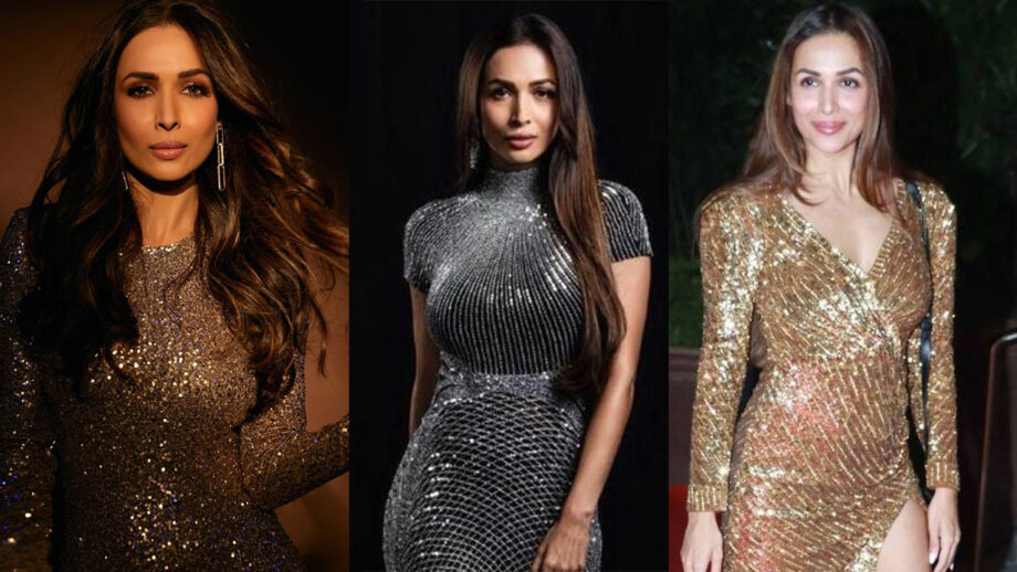Dil Le Gayi Kudi Girl Malaika Arora's Sequin Party Outfit Looks Extremely Fashionable