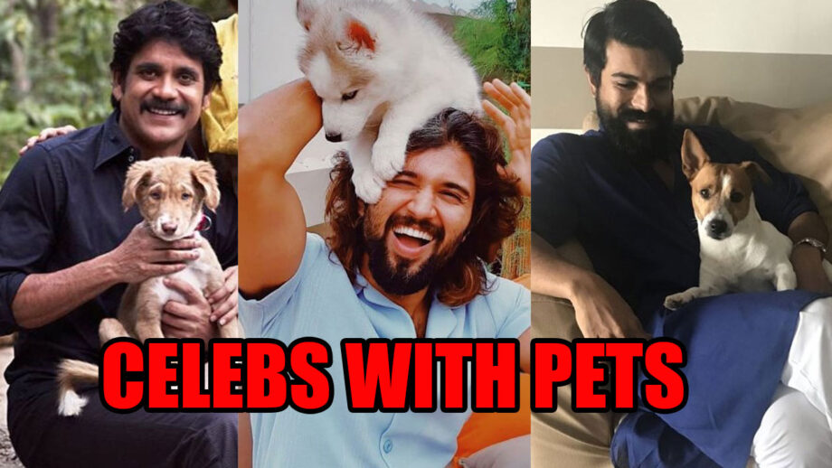 From Nagarjuna To Ram Charan: Top Tollywood Celebs And Their Pets 4