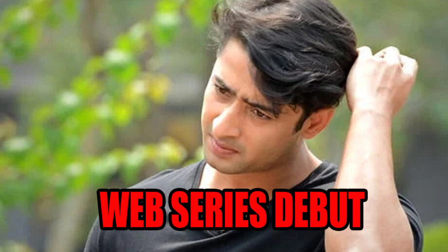 Here's Why Yeh Rishtey Hai Pyaar Ke Actor Shaheer Sheikh Deserves A Web Series Debut!
