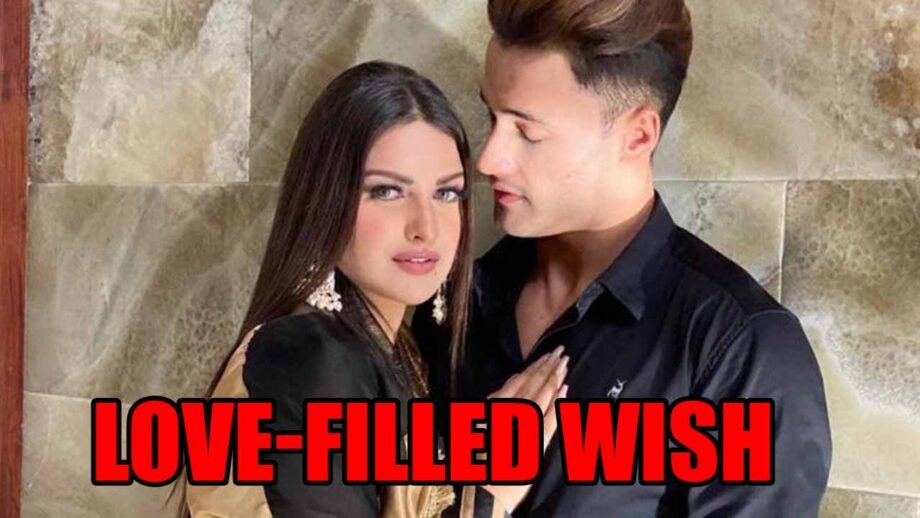 Himanshi Khurana's love-filled birthday wish for Asim Riaz is romance redefined