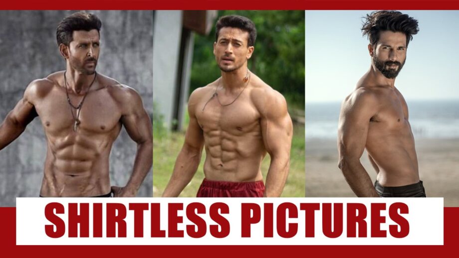 Hotness Alert: These Shirtless Pictures Of Hrithik Roshan, Tiger Shroff and Shahid Kapoor Make Us Go WOW! 3