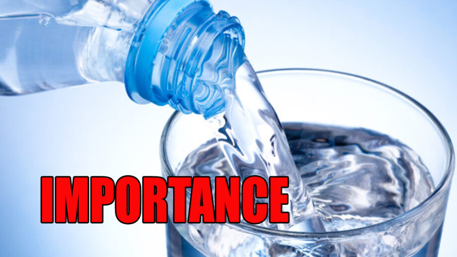 Importance of water in Daily Diet 2