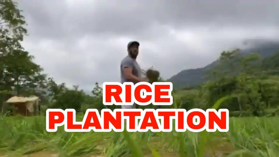 IN VIDEO: Salman Khan spotted doing rice plantation, check out now