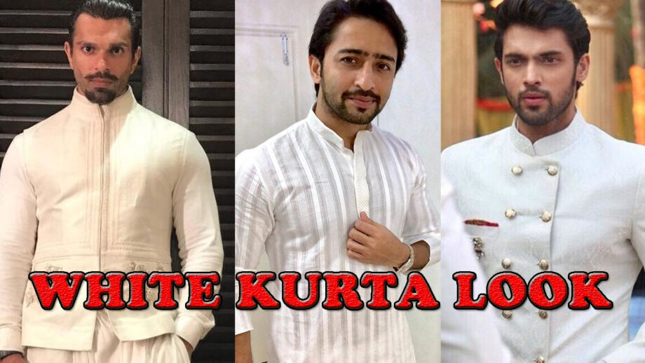 Karan Singh Grover, Parth Samthaan, Shaheer Sheikh: Who Styled In White Kurta Best?