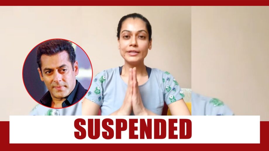 Payal Rohatgi's Twitter account suspended, actress raises accusation against Salman Khan