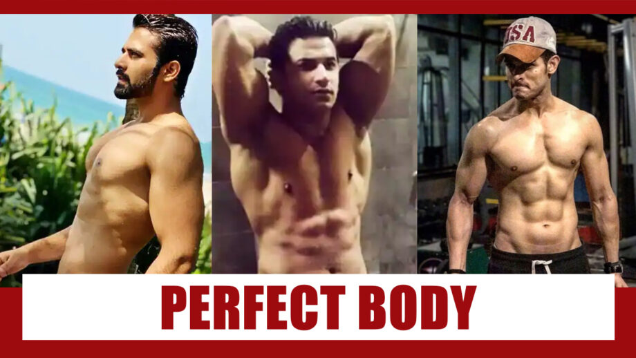 Pearl V Puri Vs Prince Narula Vs Priyank Sharma: Who Has The Perfectly Ripped Body?