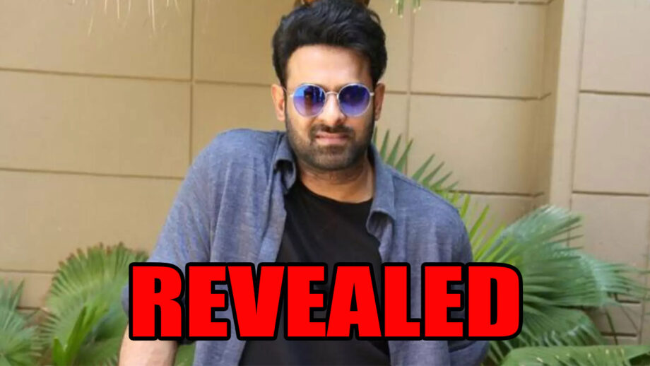 Prabhas's Education, Biography And Career Details REVEALED