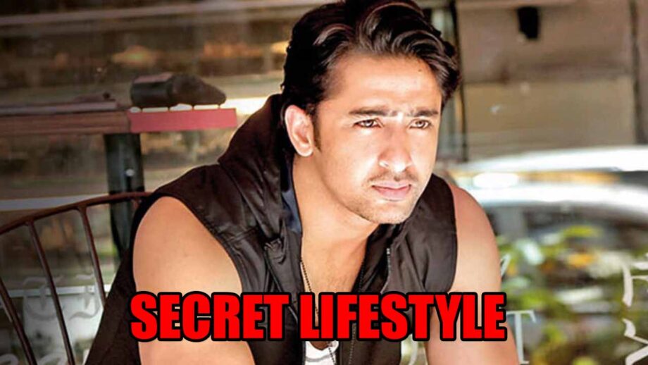 Shaheer Sheikh and his secret lifestyle REVEALED 