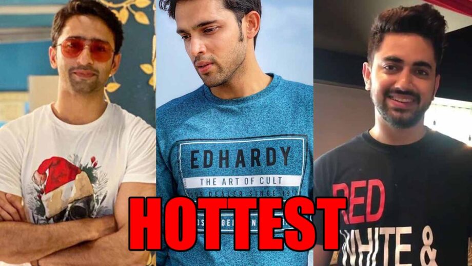 Shaheer Sheikh VS Parth Samthaan VS Zain Imam: Who's HOTTEST In Graphic Tee?