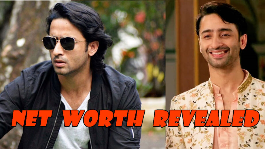 Shaheer Sheikh's Biography, Education And Net Worth REVEALED