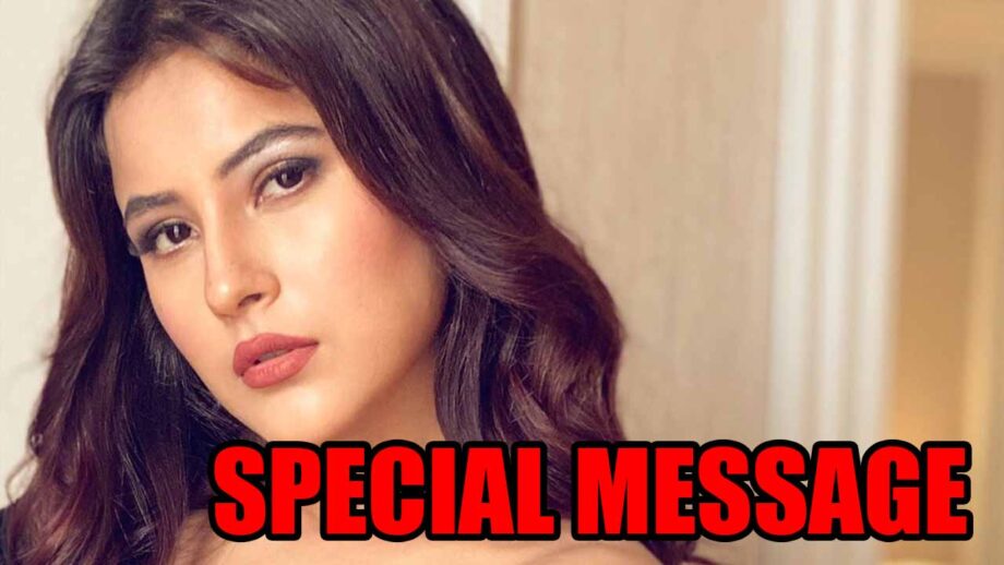 Shehnaaz Gill has a special video message for fans, check here