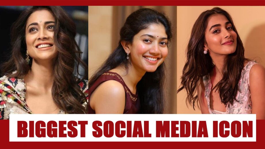 Shriya Saran Vs Sai Pallavi Vs Pooja Hegde: Who is the BIGGEST social media icon?