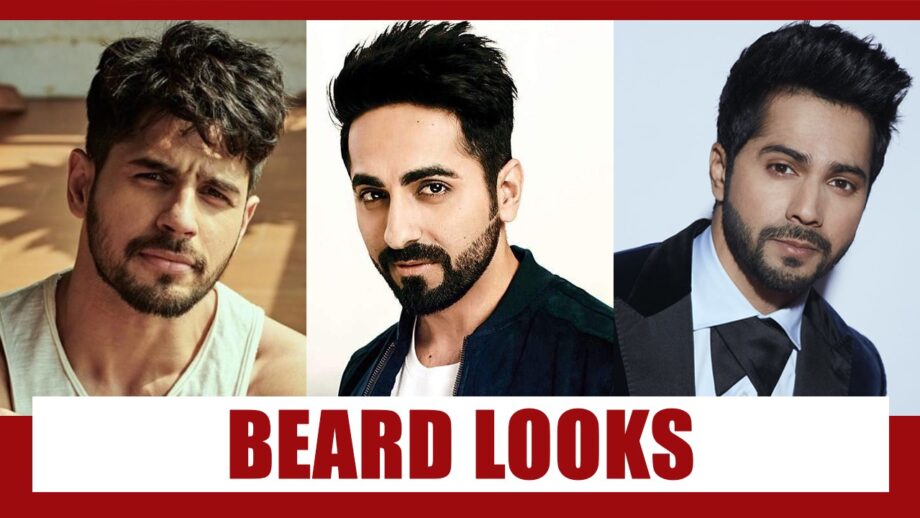 Sidharth Malhotra Vs Ayushmann Khurrana Vs Varun Dhawan - Who looks the HOTTEST with a beard?