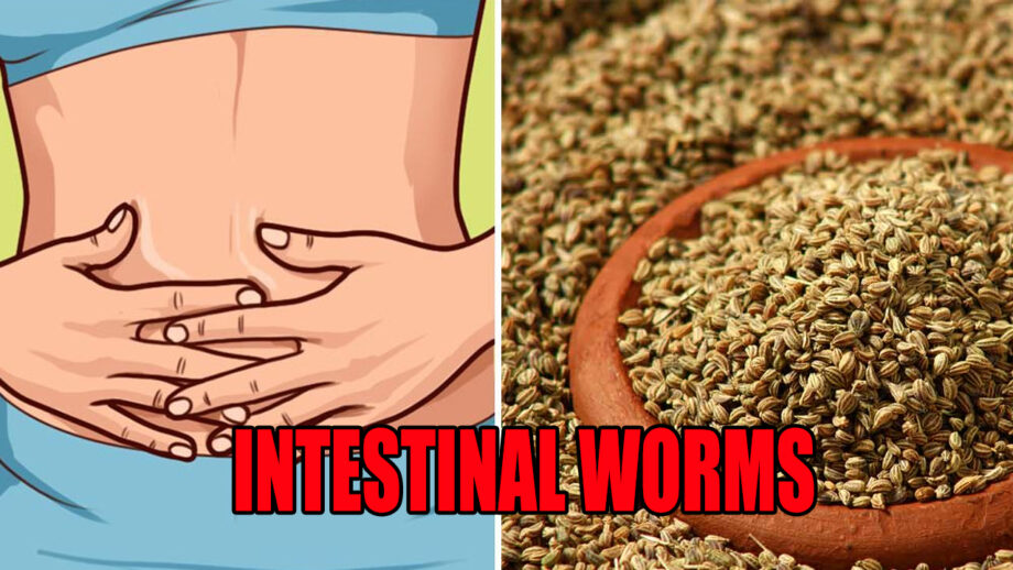 Try These 6 Home Remedies To Get Rid From Intestinal Worms 3