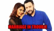 TV couple Maninee De and Mihir Misra’s marriage in trouble