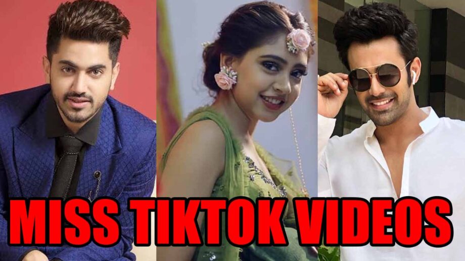 Zain Imam VS Niti Taylor VS Pearl V Puri: Whose TikTok Videos You Miss The Most?