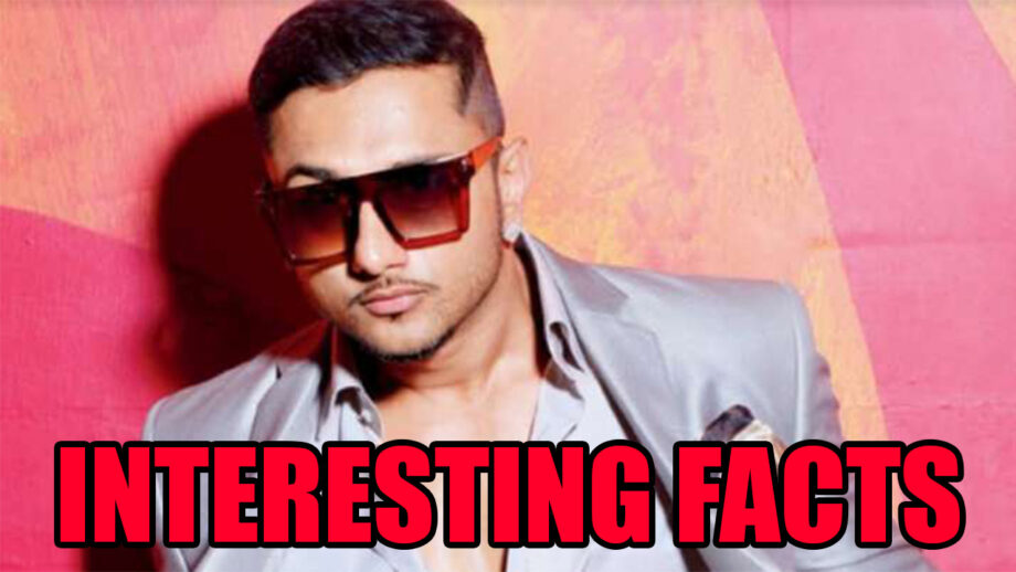 5 Amazing Facts About Yo Yo Honey Singh's Career