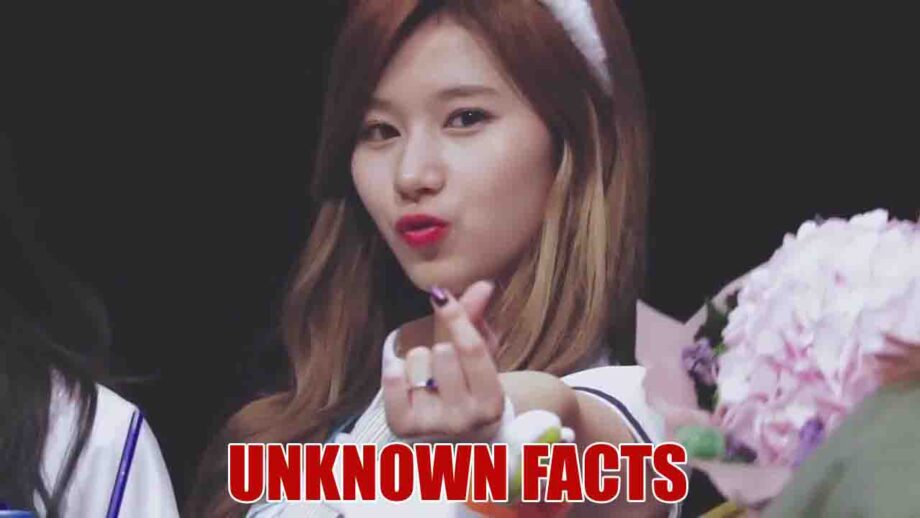 5 Little-Known Facts About TWICE fame Sana