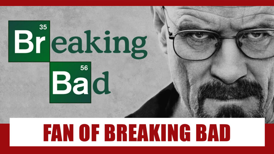 Are You A Breaking Bad Fan? You Will Relate To These Scenes