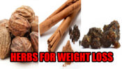 Ayurvedic herbs you can try for weight loss