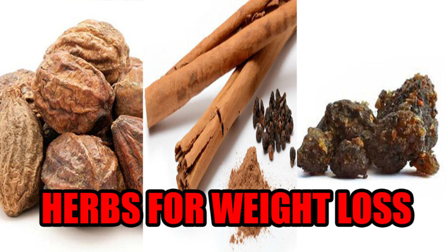 Ayurvedic herbs you can try for weight loss