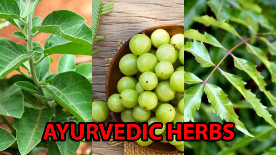 Ayurvedic Herbs You Can Try To Boost Your Immunity